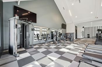 A gym with a variety of equipment including a squat rack, bench press, and a rowing machine.